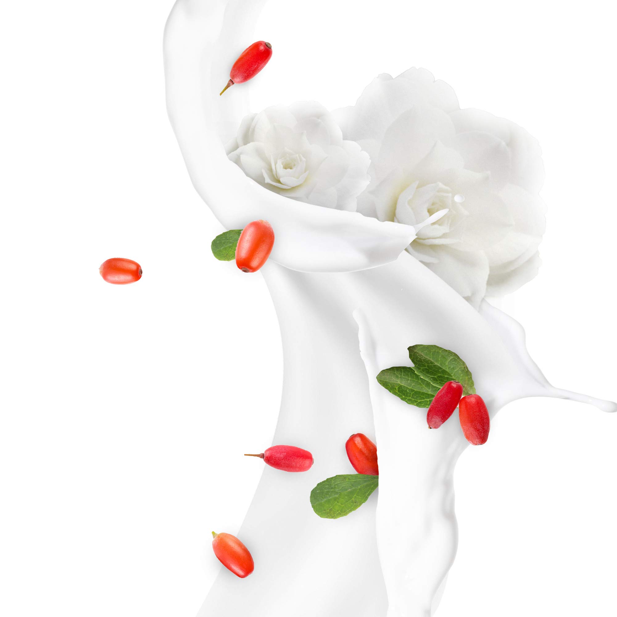 dove-pflegegeheimnisse-body-lotion-vitalisierendes-ritual-mit-goji-beeren-und-ka image 5