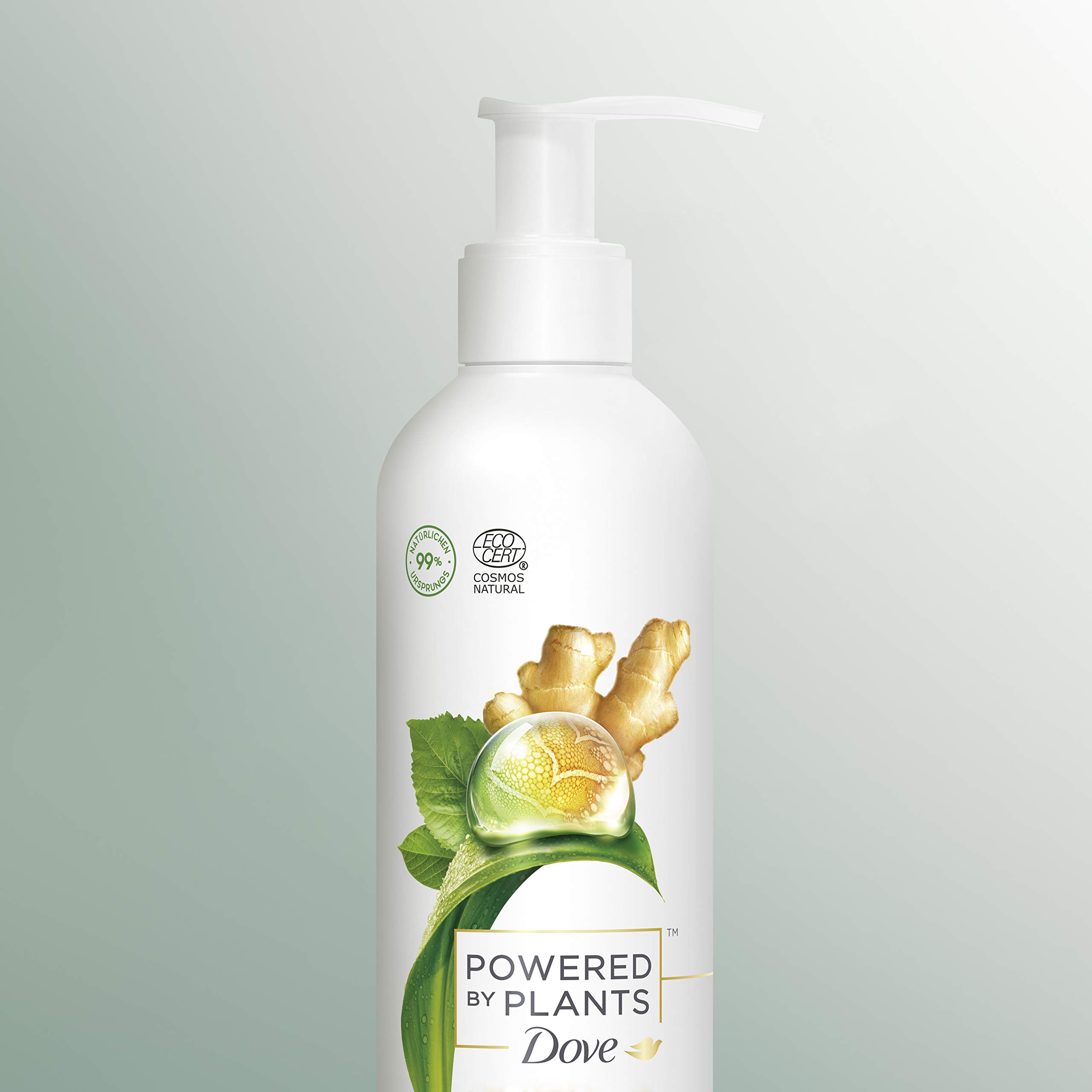 dove-powered-by-plants-body-lotion-ginger-vegane-k-rperlotion-mit-pflanzenbasier image 5