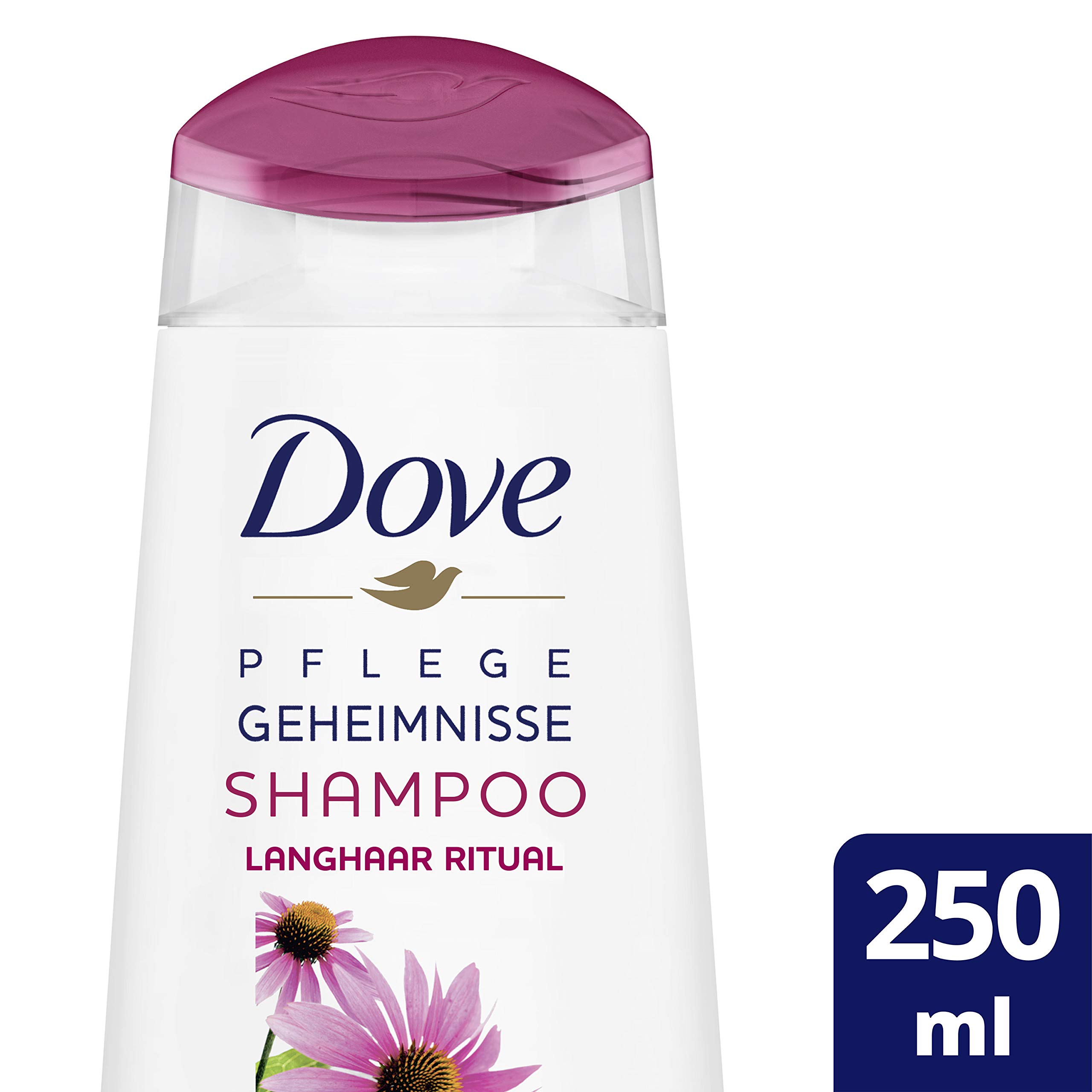 dove-pflegegeheimnisse-langhaar-ritual-shampoo-mit-echinacea-wei-em-tee-6er-pack image 3