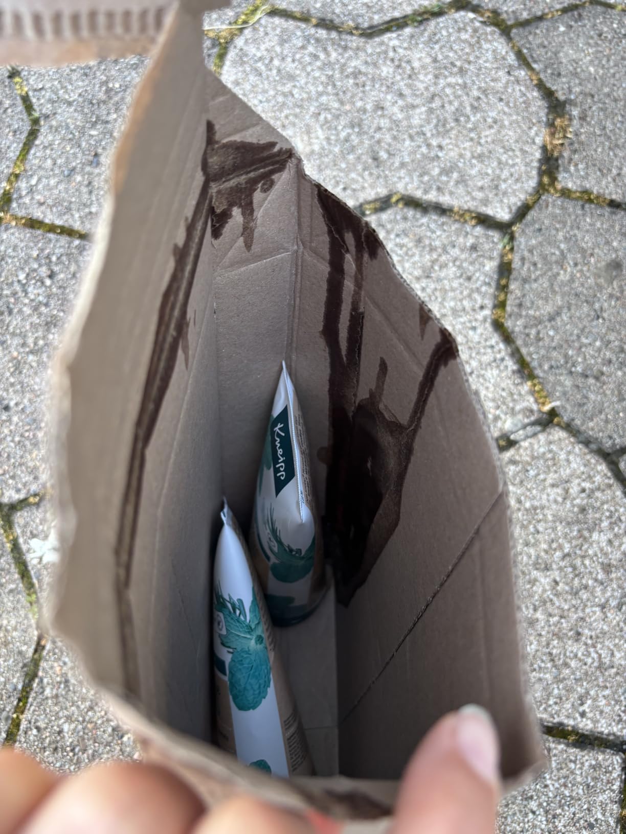 Multipack war die richtige Entscheidung