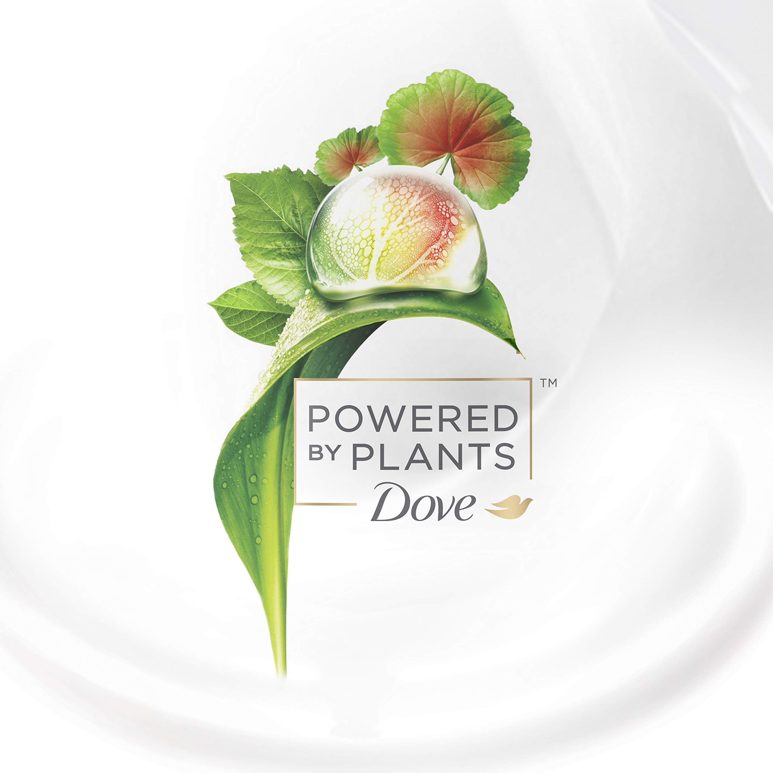 dove-powered-by-plants-body-hair-oil-geranium-zertifizierte-naturkosmetik-k-rper image 8