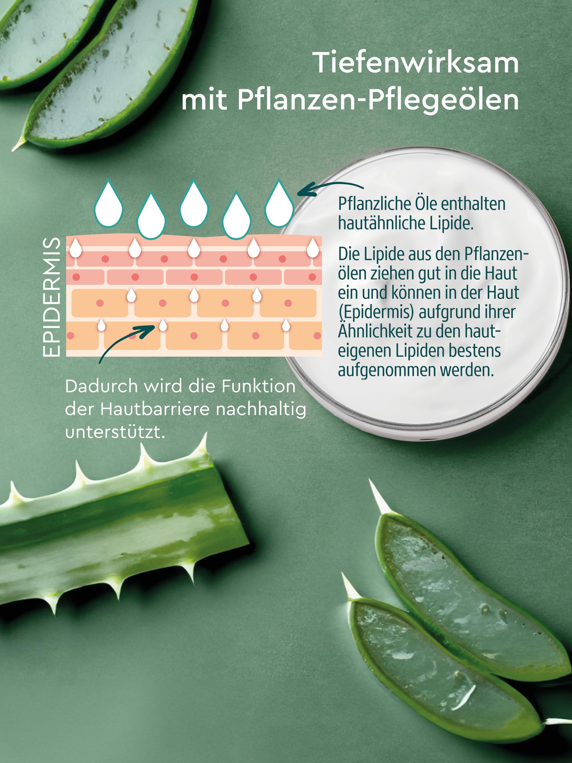 kneipp-hydro-k-rperlotion-mit-bio-aloe-vera-und-panthenol-200-ml-f-r-normale-bis image 5