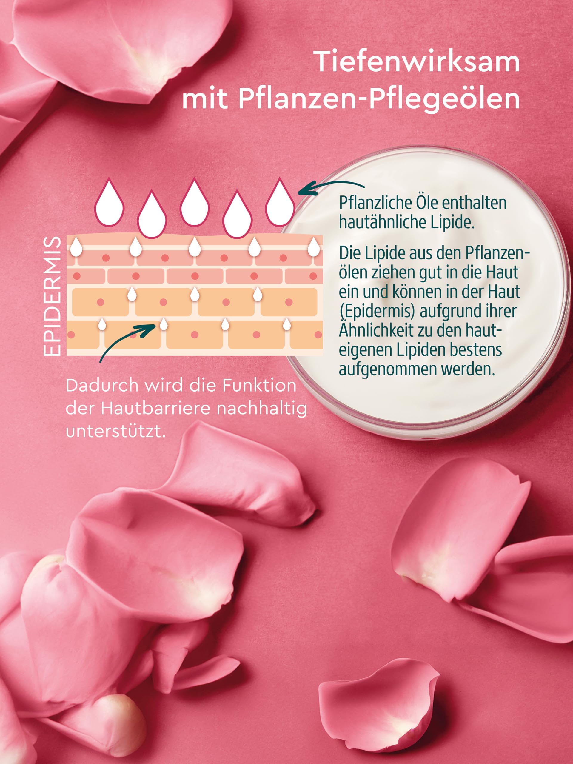 kneipp-straffend-k-rperlotion-bodylotion-mit-bio-rosenbl-ten-extrakt-pflege-l-ko image 3