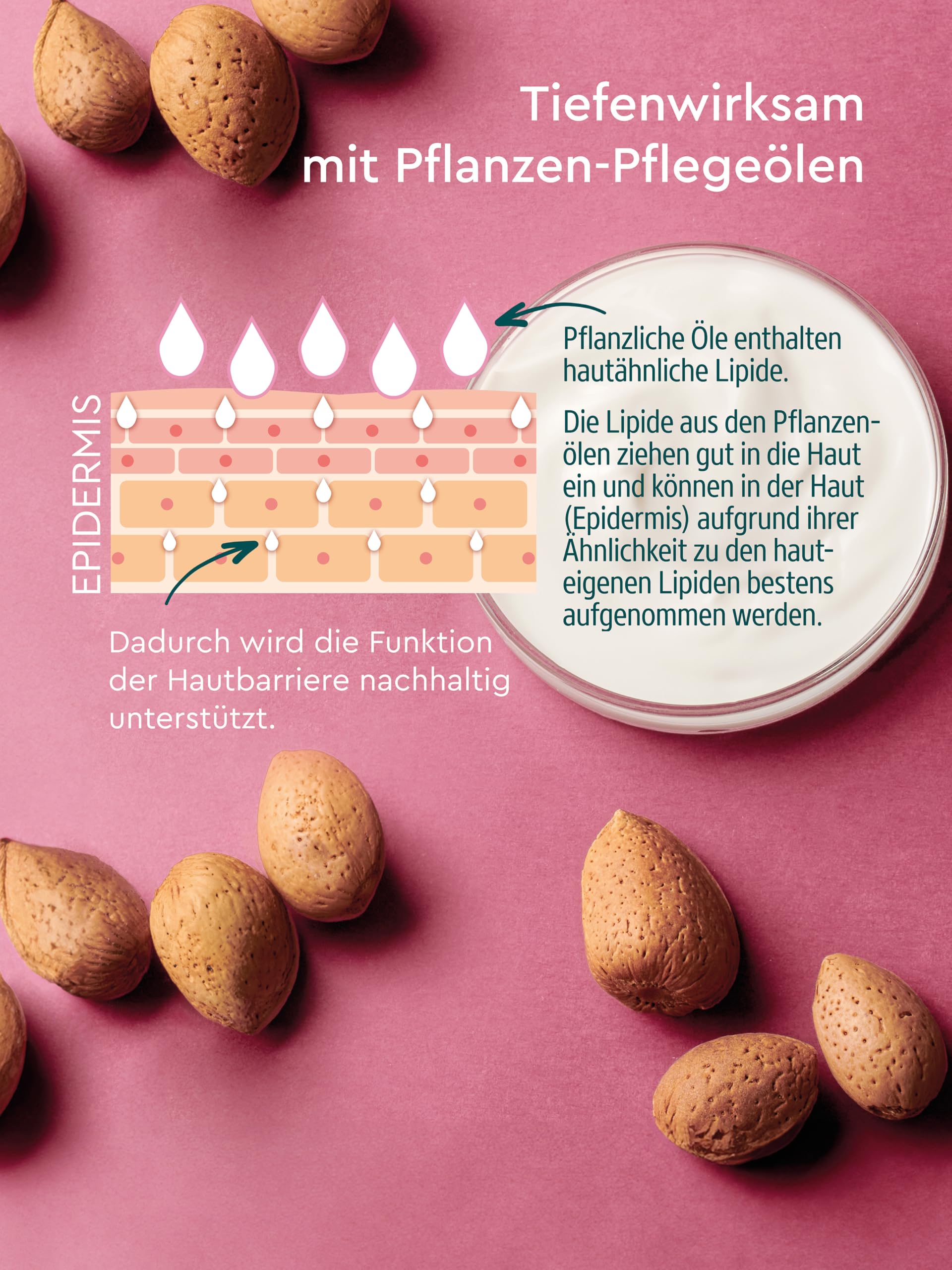kneipp-sensitiv-k-rperlotion-200-ml-bodylotion-mit-bio-mandelbl-tenextrakt-f-r-e image 3
