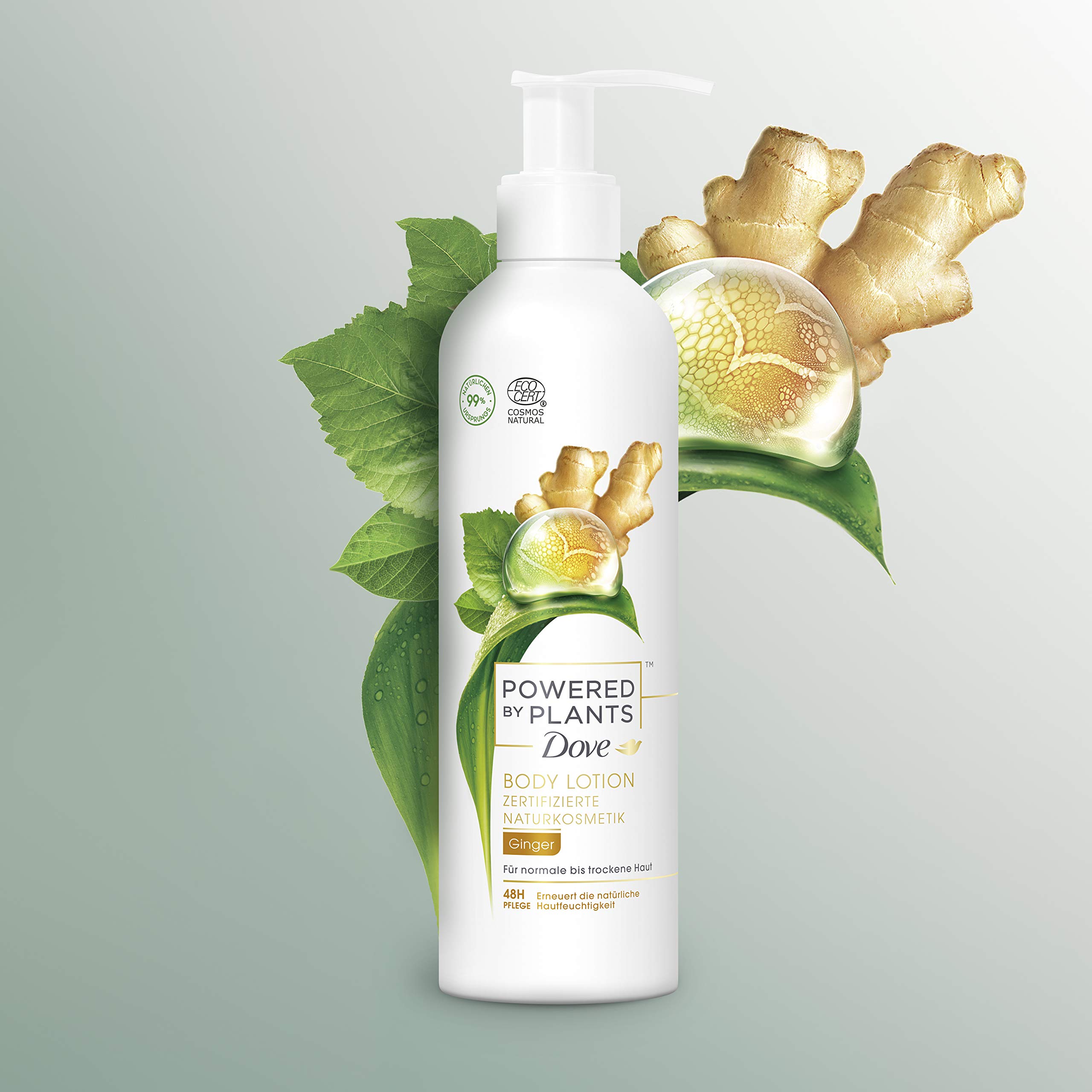 dove-powered-by-plants-body-lotion-ginger-vegane-k-rperlotion-mit-pflanzenbasier image 7